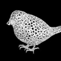 Small Voronoi Java(RiceBird) Sparrow 3D Printing 52617