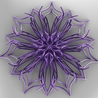 Chicory - Thumbnail 1