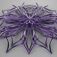 Chicory - Thumbnail 2