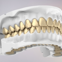 Small 3D Dental Jaws Replica with Detachable Teeth 3D Printing 526967