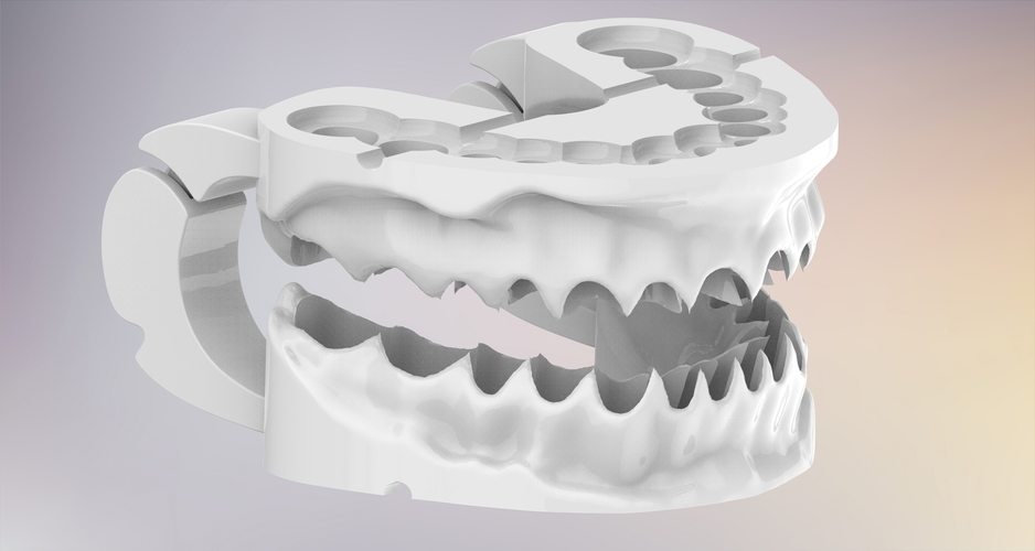 3D Dental Jaws Replica with Detachable Teeth 3D Print 526970