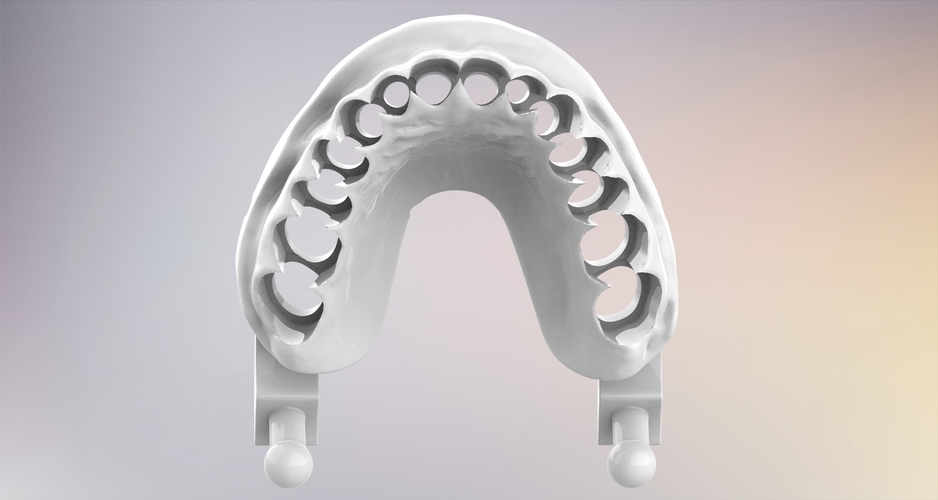 3D Dental Jaws Replica with Detachable Teeth 3D Print 526972