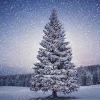 Christmas Angel - Thumbnail 2