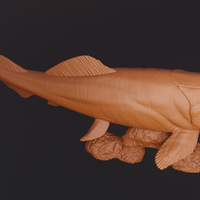 Dunkleosteus - 3D Printable 3D print model - Thumbnail 8