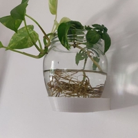 Wall Vase Holder for Monstera - Thumbnail 2