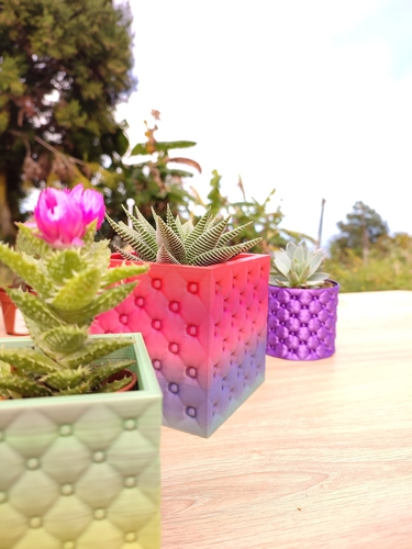 Luxury Planter 3D Print 528992