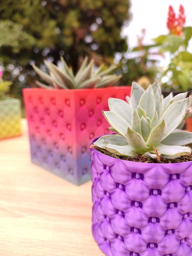 Luxury Planter 3D Print 528996