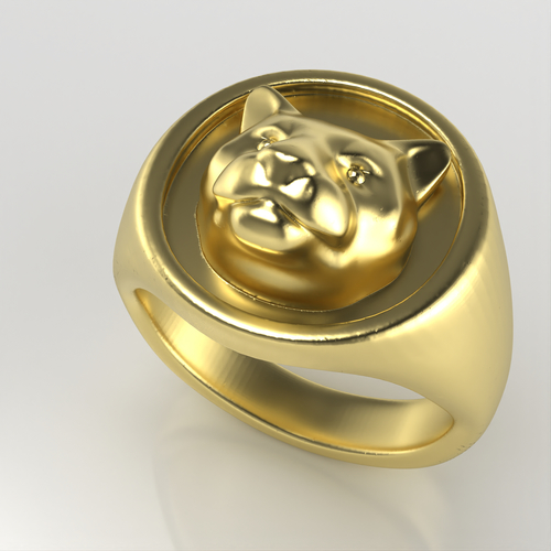 AC-PLAIN-RING-004 3D Print 530793