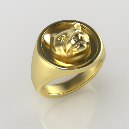 AC-PLAIN-RING-004 3D Print 530794