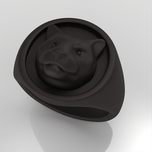 AC-PLAIN-RING-004 3D Print 530795