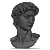 DAVID BY MICHELANGELO 3D print model - Thumbnail 2