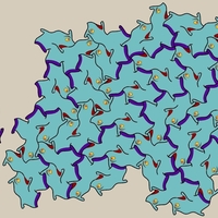 Aperiodic mono tiling turtle version female and a male one too - Thumbnail 2