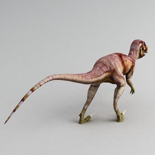 Deinonychus model 3D 3D Print 53248