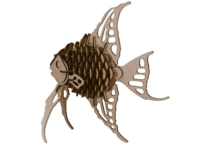 AngleFish 3D Print 53385