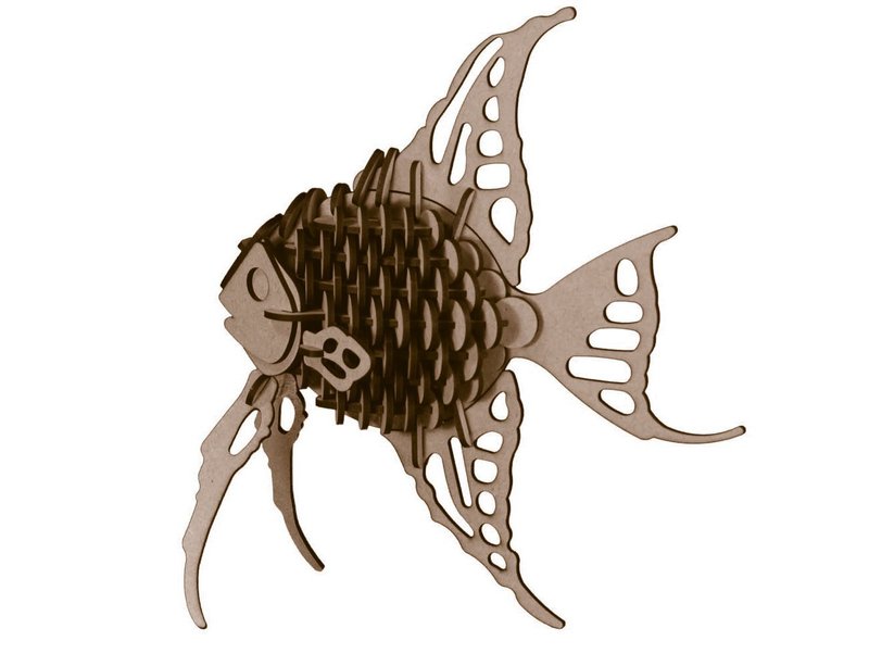 AngleFish