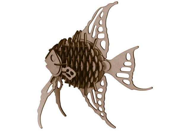 AngleFish