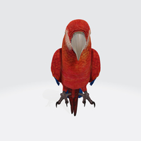 Parrot 3D Model Ready to Print - Thumbnail 2