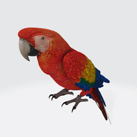 Parrot 3D Model Ready to Print - Thumbnail 3