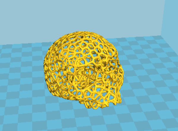 Voronoi skull