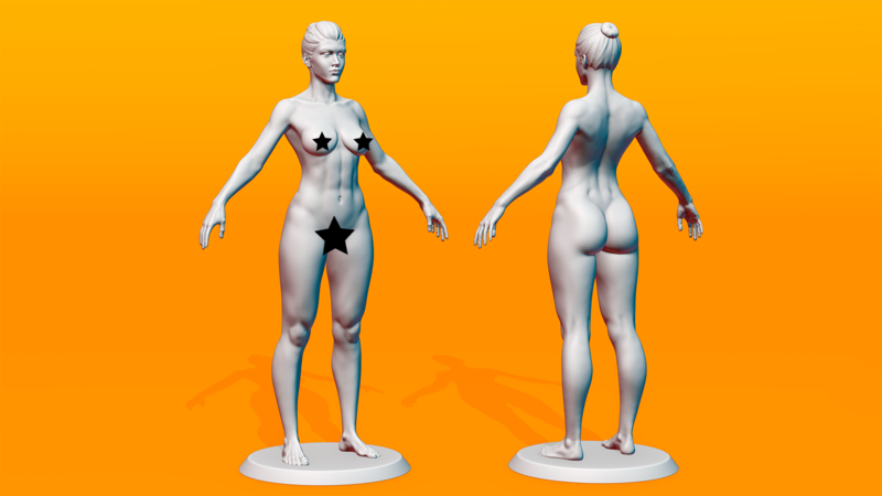Female Anatomy Figurine