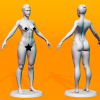 Small Female Anatomy Figurine 3D Printing 536476