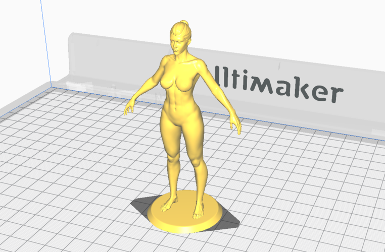 Female Anatomy Figurine 3D Print 536477