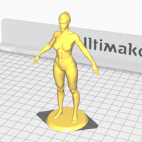 Female Anatomy Figurine - Thumbnail 2