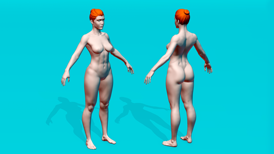 Female Anatomy Figurine 3D Print 536479