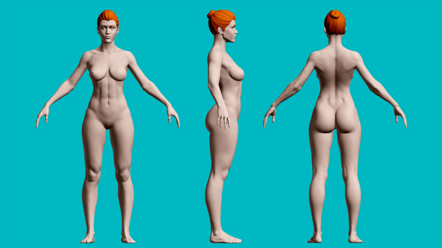 Female Anatomy Figurine 3D Print 536480