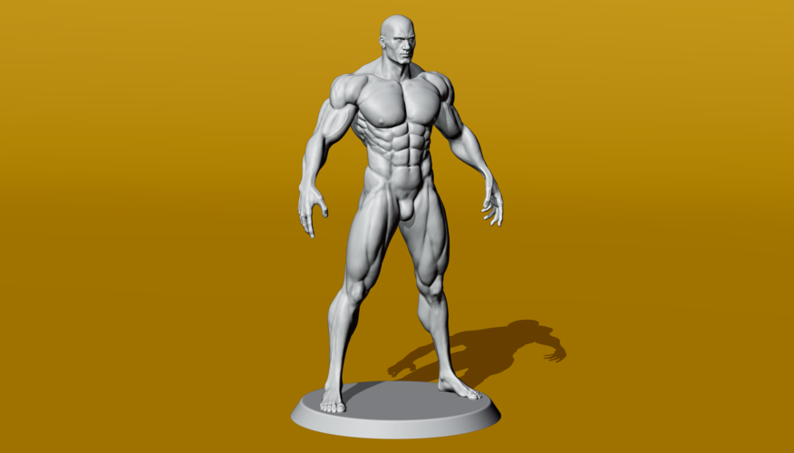 Muscular Male Anatomy Figurine 3D Print 536481