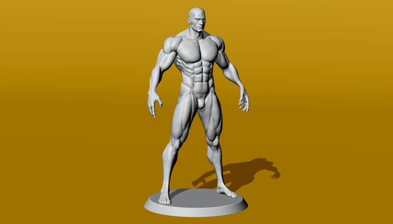 Muscular Male Anatomy Figurine