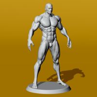 Small Muscular Male Anatomy Figurine 3D Printing 536481