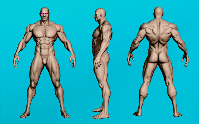 Muscular Male Anatomy Figurine 3D Print 536485