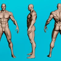 Muscular Male Anatomy Figurine - Thumbnail 4