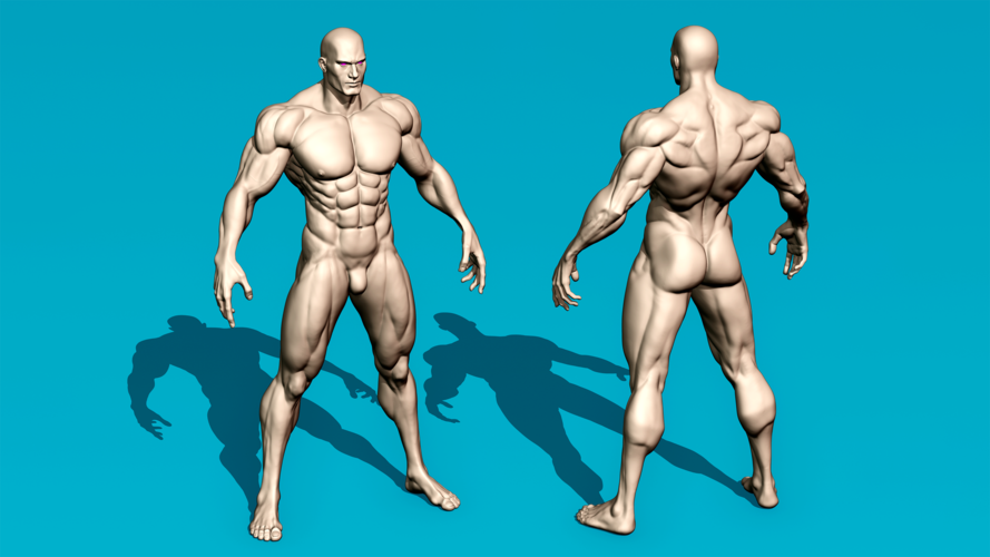 Muscular Male Anatomy Figurine 3D Print 536486