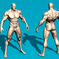 Muscular Male Anatomy Figurine - Thumbnail 5