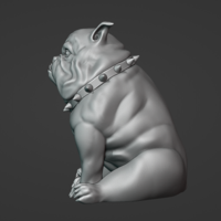 Mad Bulldog - Thumbnail 4