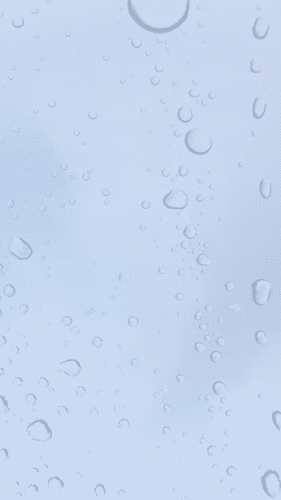 Tractive Guardian GPS Safeguard