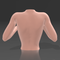 Buste 11 - STL 3D printer  - Thumbnail 5