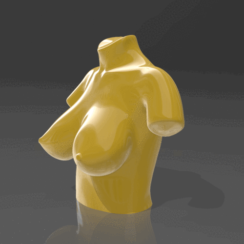 Bust 10 - STL 3D Printer 3D Print 539222