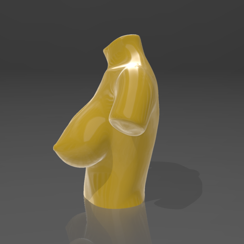 Bust 10 - STL 3D Printer 3D Print 539224