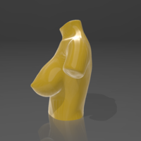 Bust 10 - STL 3D Printer - Thumbnail 3