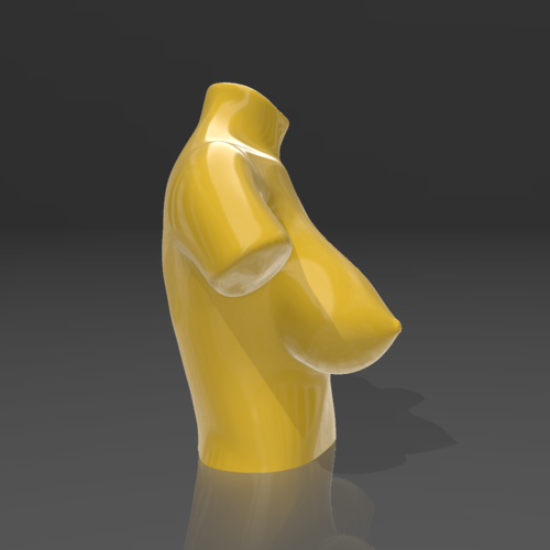 Bust 10 - STL 3D Printer 3D Print 539225