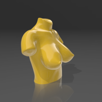 Bust 10 - STL 3D Printer - Thumbnail 5