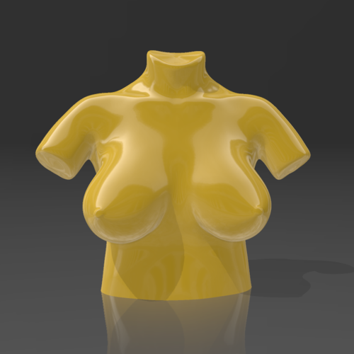 Bust 10 - STL 3D Printer 3D Print 539227