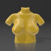 Bust 10 - STL 3D Printer - Thumbnail 6