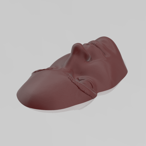 A face on the water 03 - STL 3D Printer  3D Print 539242