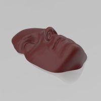 A face on the water 03 - STL 3D Printer  - Thumbnail 8