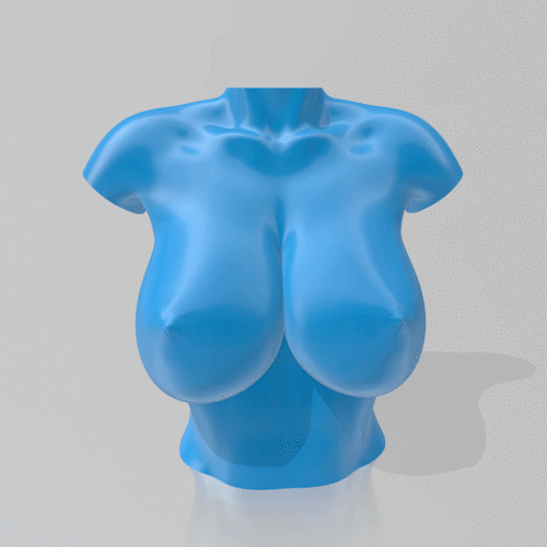 Bust - STL 3D Printer  3D Print 539246