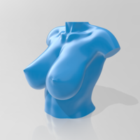 Bust - STL 3D Printer  - Thumbnail 3